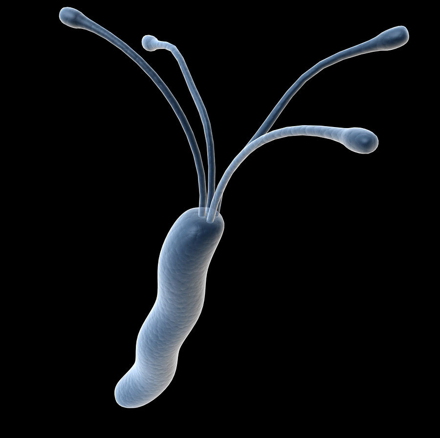 Helicobacter Pylori